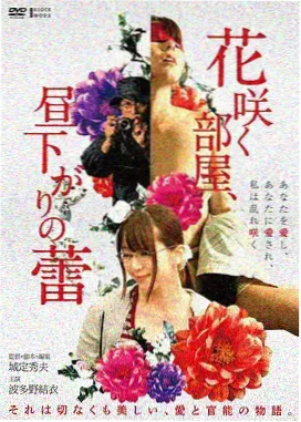 免费资料短视频分镜脚本模板封面